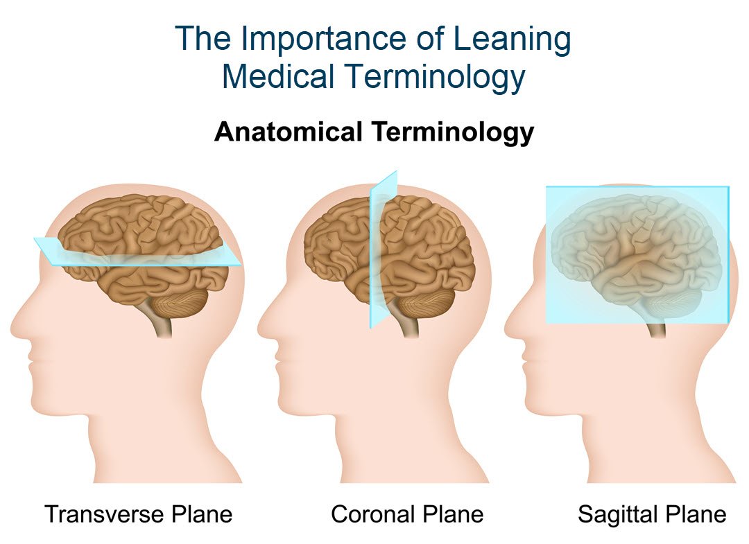 Why Learn Medical Language